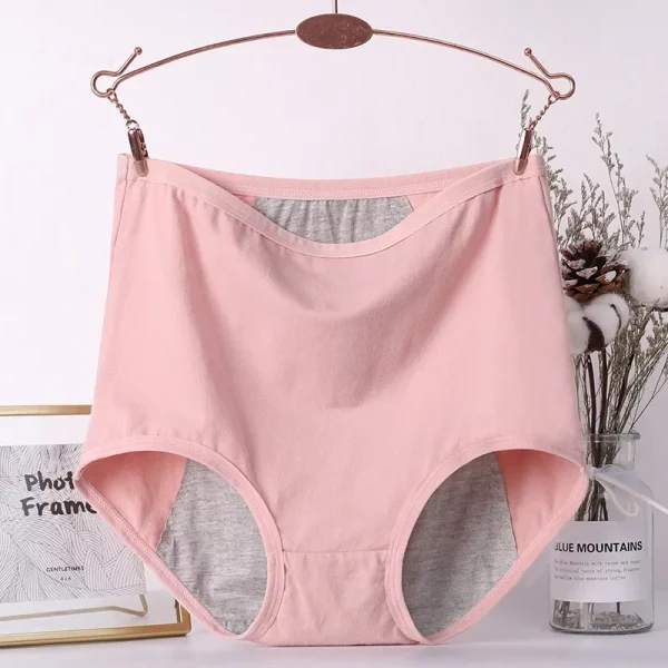 2pcs Girl Menstrual Panties Women's Physiological Briefs - Image 5