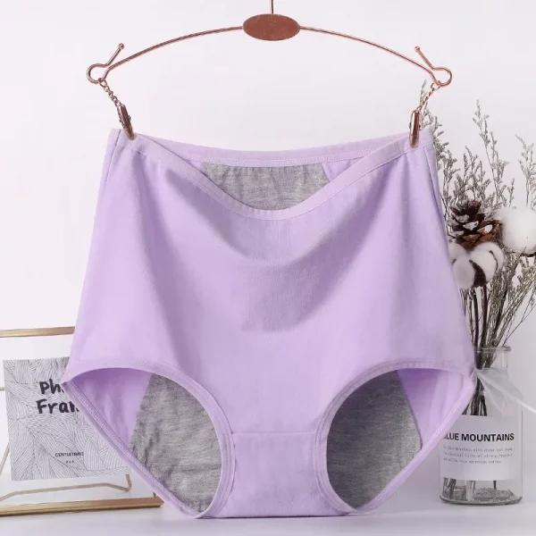 2pcs Girl Menstrual Panties Women's Physiological Briefs - Image 6