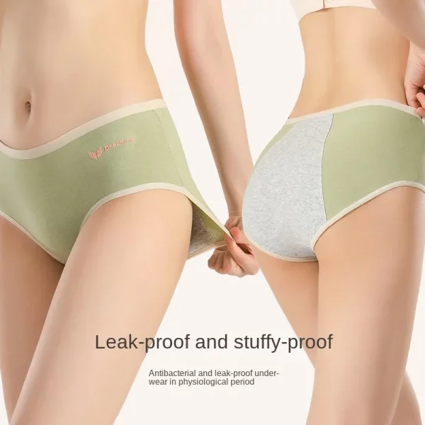 Menstrual Period Panties Women Cotton Plus Size - Image 2
