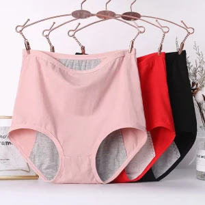 1pcs Girl Menstrual Panties Women's Physiological Briefs