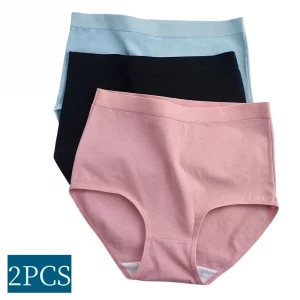 2Pcs/Lot Cotton Panties Women Seamless Plus Size