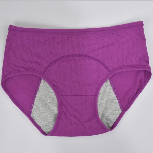 5pcs/Set Leak Proof Menstrual Panties Plus Size Waterproof - Image 6