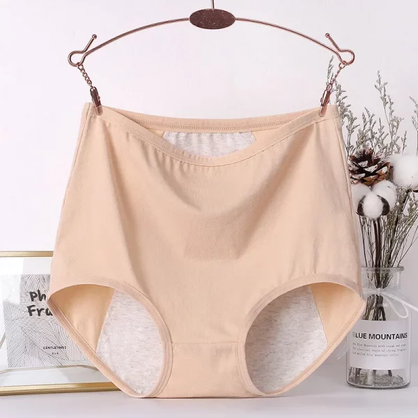 2pcs Girl Menstrual Panties Women's Physiological Briefs - Image 2