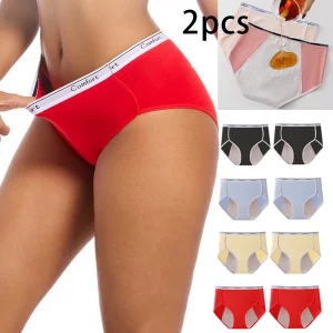 2pcs Girl Menstrual Panties Women's Physiological Briefs