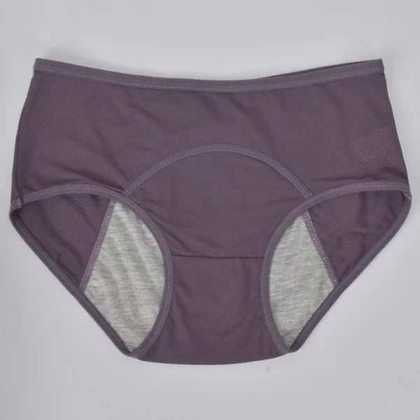 5pcs/Set Leak Proof Menstrual Panties Plus Size Waterproof - Image 5