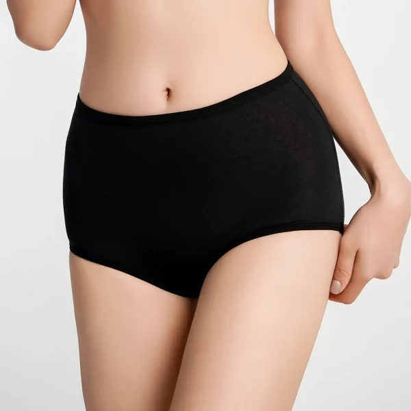 4pcs Leak Proof Menstrual Panties Physiological Pants - Image 4