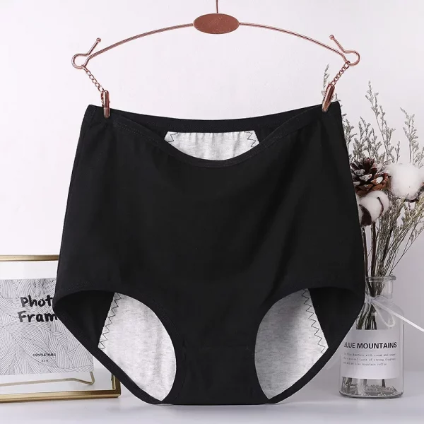 2pcs Girl Menstrual Panties Women's Physiological Briefs - Image 3