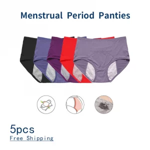 5pcs/ Leak Proof Menstrual Panties Women Period Underwear