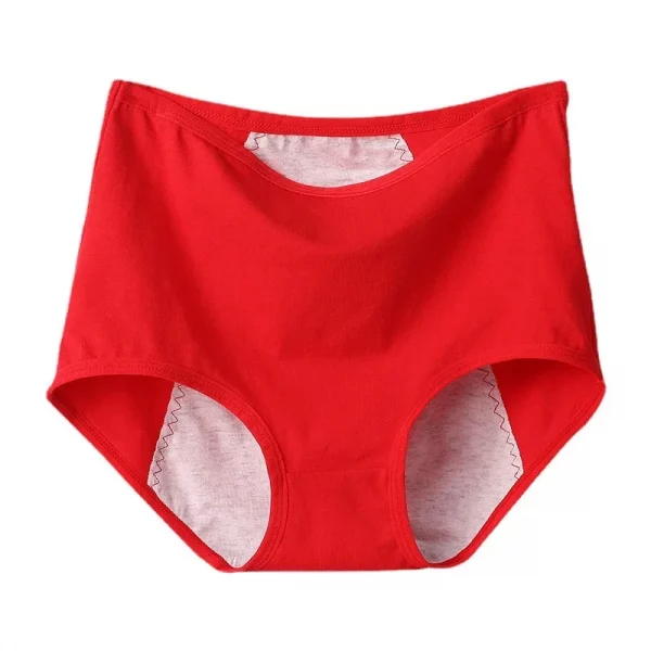 2pcs Girl Menstrual Panties Women's Physiological Briefs - Image 4