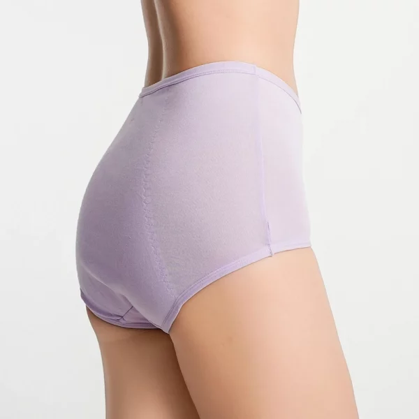 4pcs Leak Proof Menstrual Panties Physiological Pants - Image 6