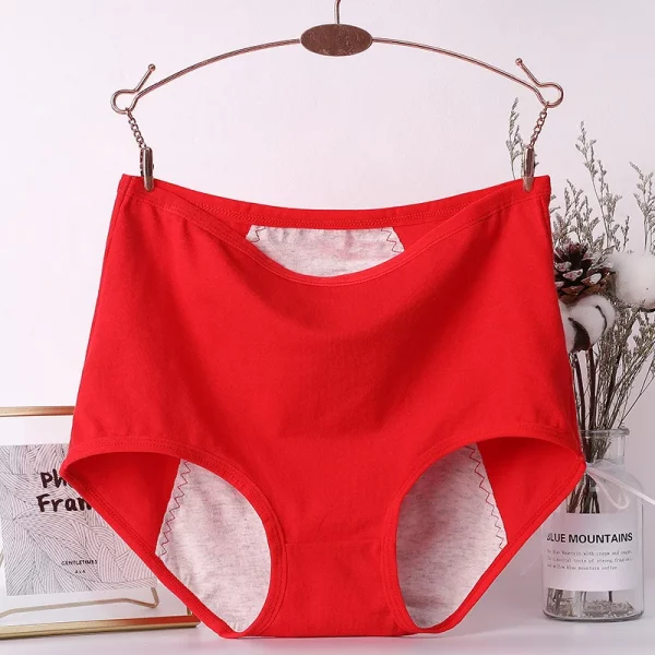 6pcs Menstrual Panties for Girls and Ladies - Image 6
