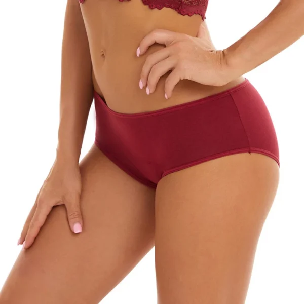 3pcs Menstrual Panties for Women Leak Proof Briefs Cotton - Image 5